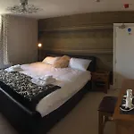 The White Swan